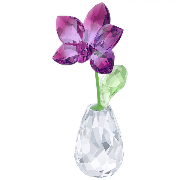 SWAROVSKI Flower Dreams - Orkidea 5254318