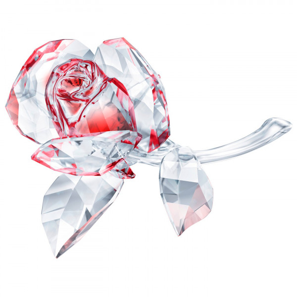 SWAROVSKI Blossoming Rose, Red 5428561